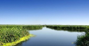 監(jiān)測(cè)數(shù)據(jù)造假“惡”于環(huán)境污染