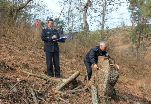 山東：今年前8個月批捕破壞環境資源保護犯罪案件254件